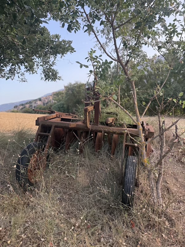 Cultivador al costat del camí