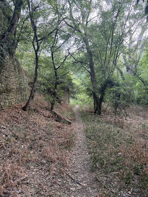 Foto-pista del camí cap al molí
