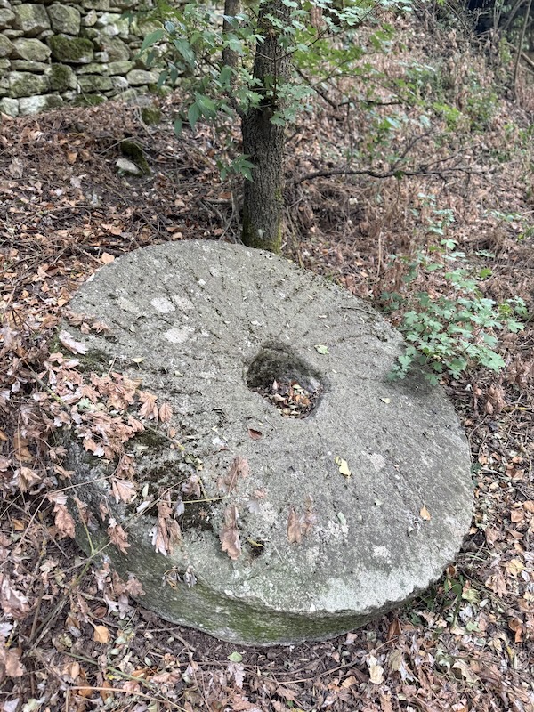Pedra de molí