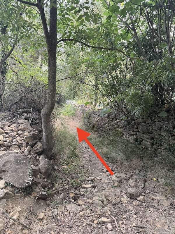 Foto-pista del camí que cal seguir