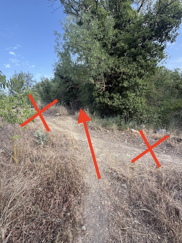 Pista del creuament del camí